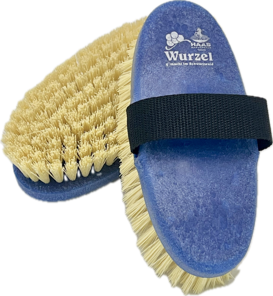Wurzelkardätsche Damen